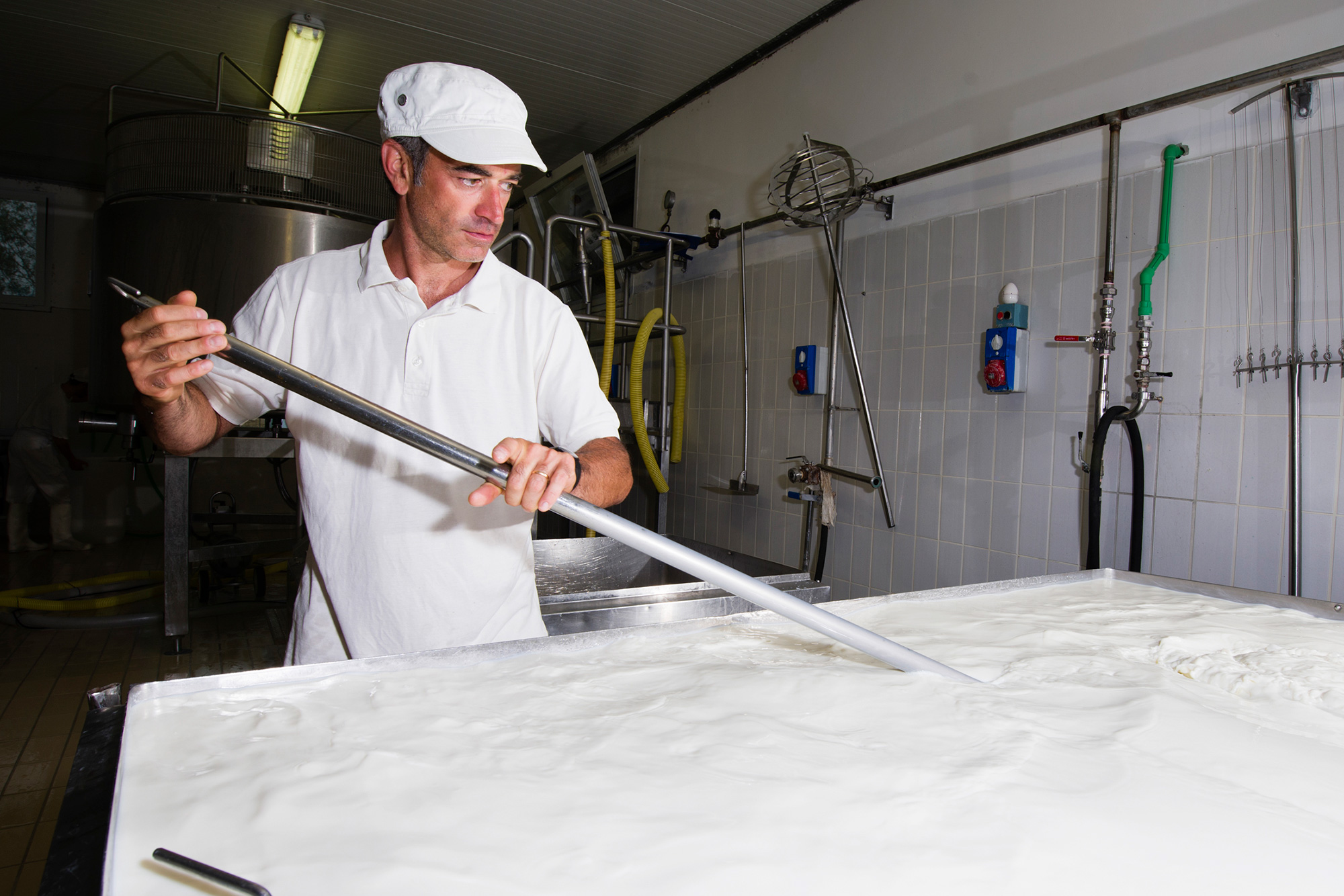 Lavorazione formaggio