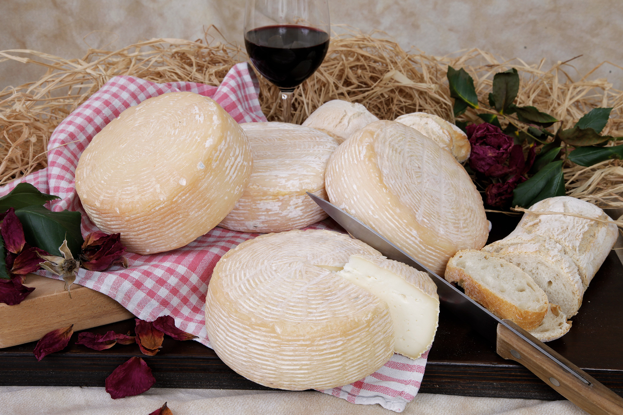 Maggiolina Maggiolina